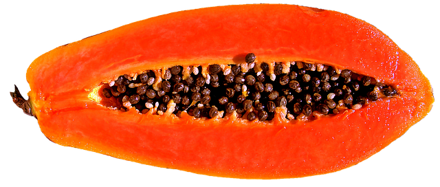 Miss Maya Papaya Logo